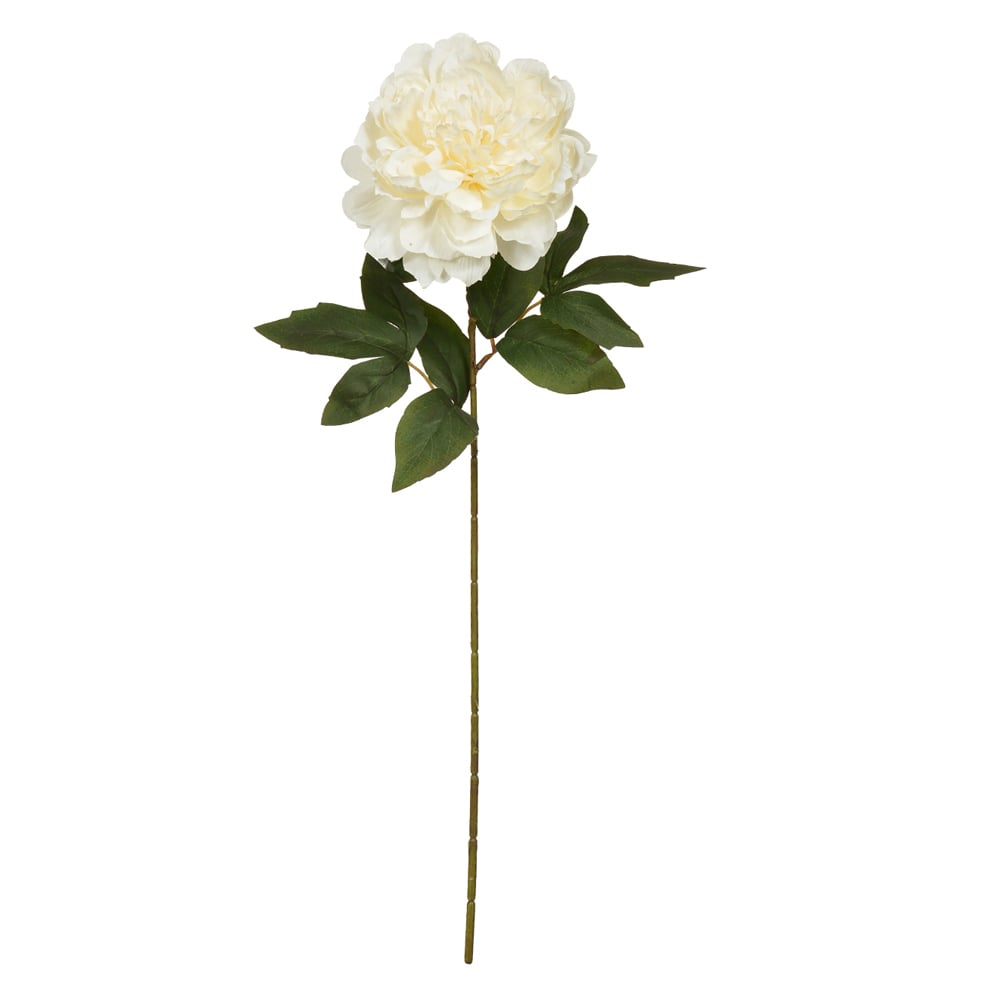 H.PEONIA (CREME) 65cm