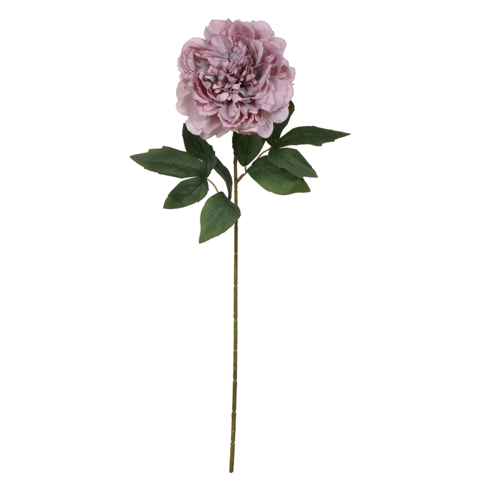 H.PEONIA (ROSA OUTONO) 65cm