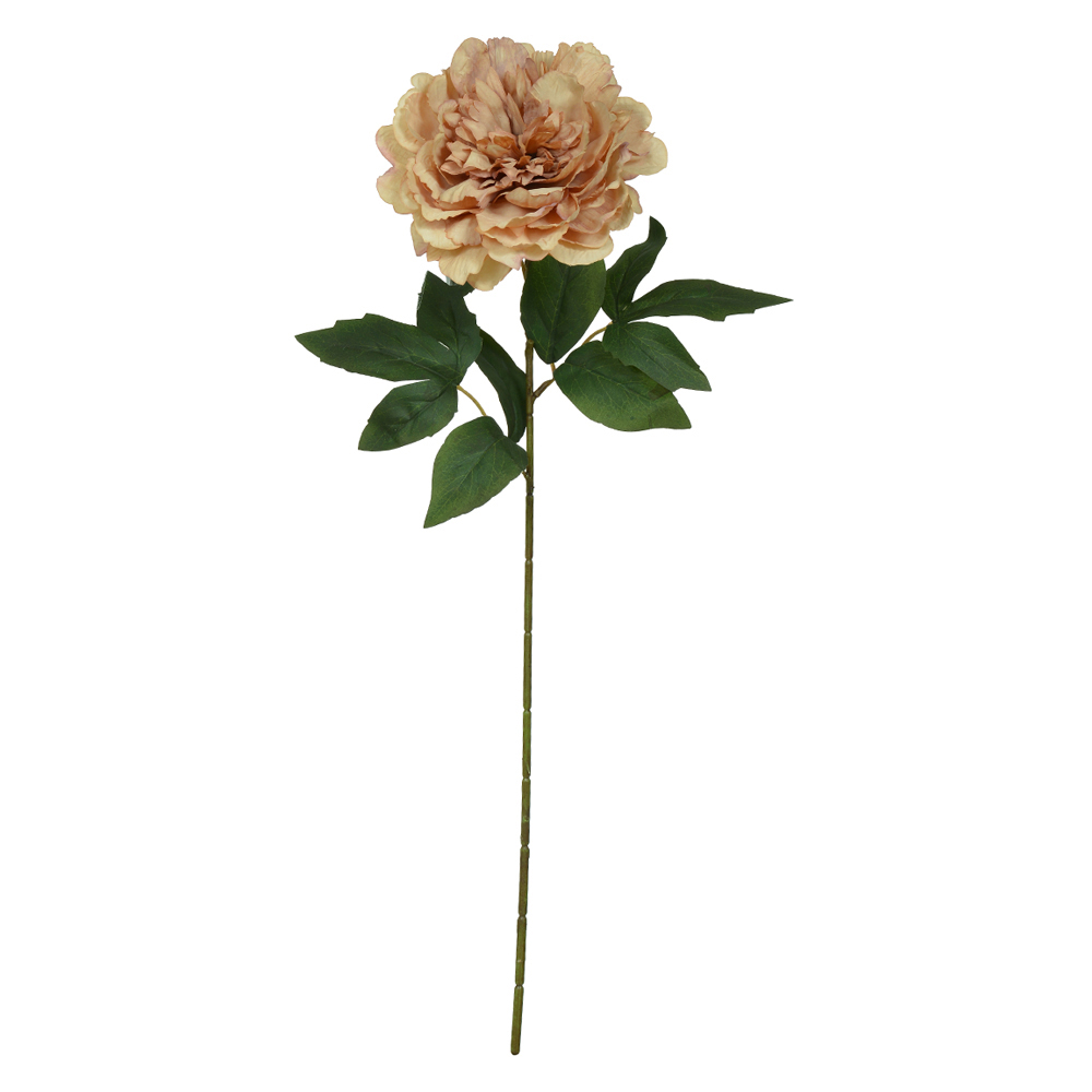 H.PEONIA (CHA) 65cm