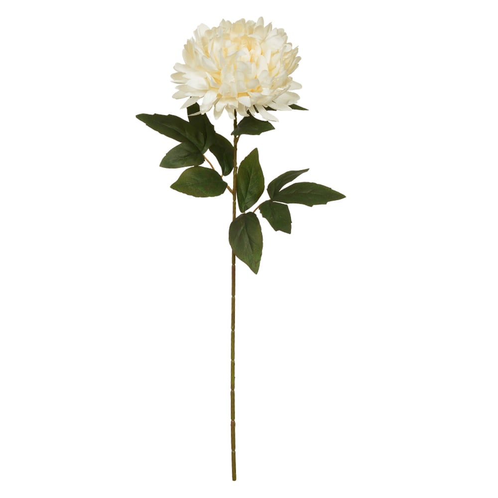 H.CRISANTEMO (CREME) 66cm