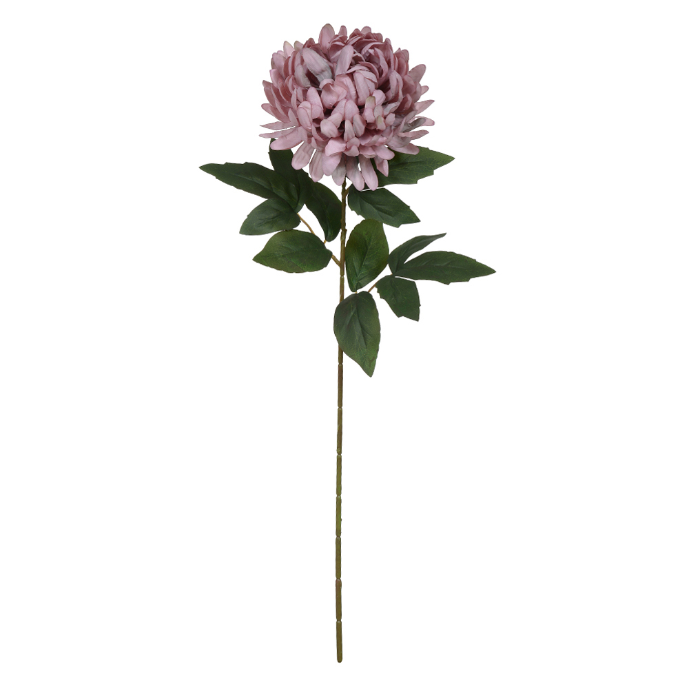 H.CRISANTEMO (ROSA OUTONO) 66cm