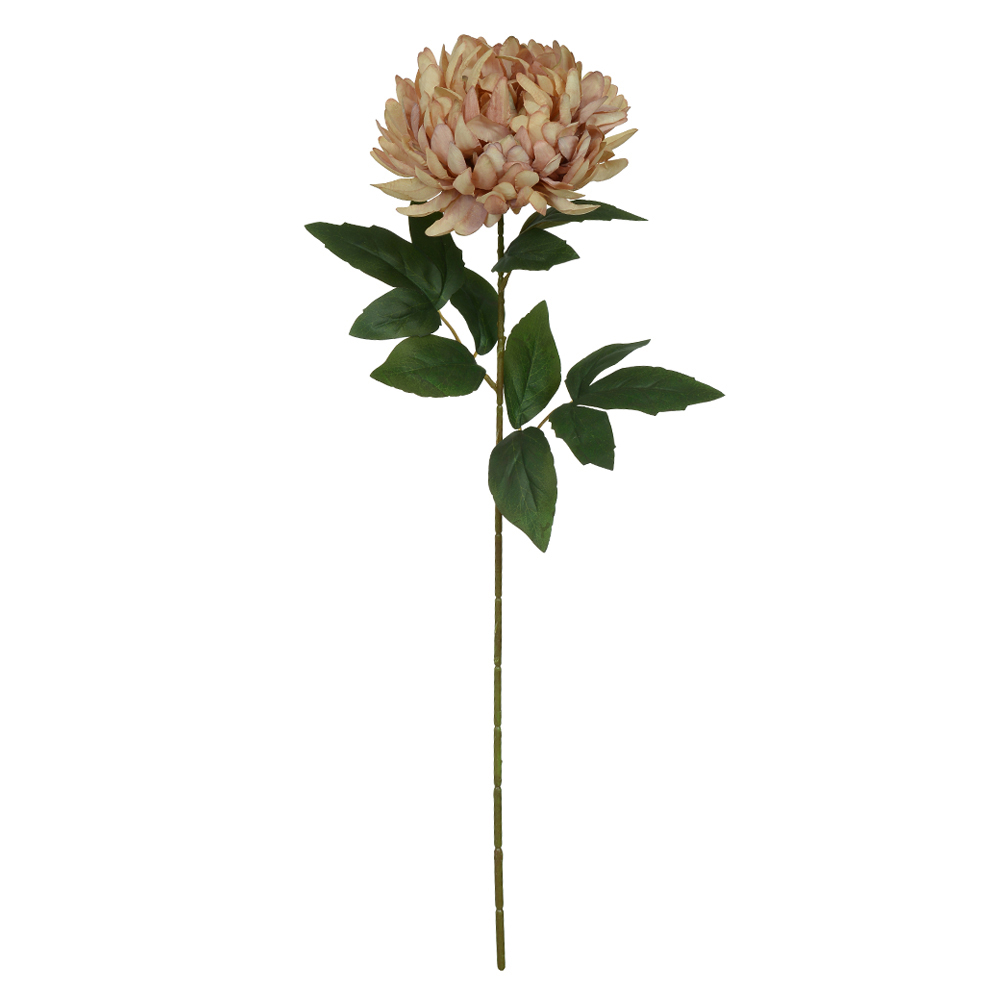 H.CRISANTEMO (CHA) 66cm