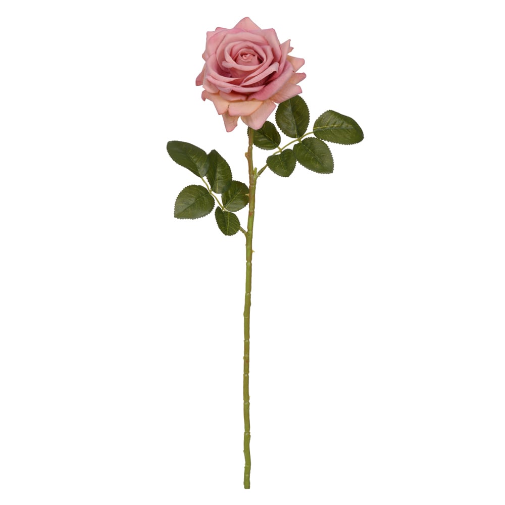 H.ROSA AVELUDADO (ROSA OUTONO) 60cm