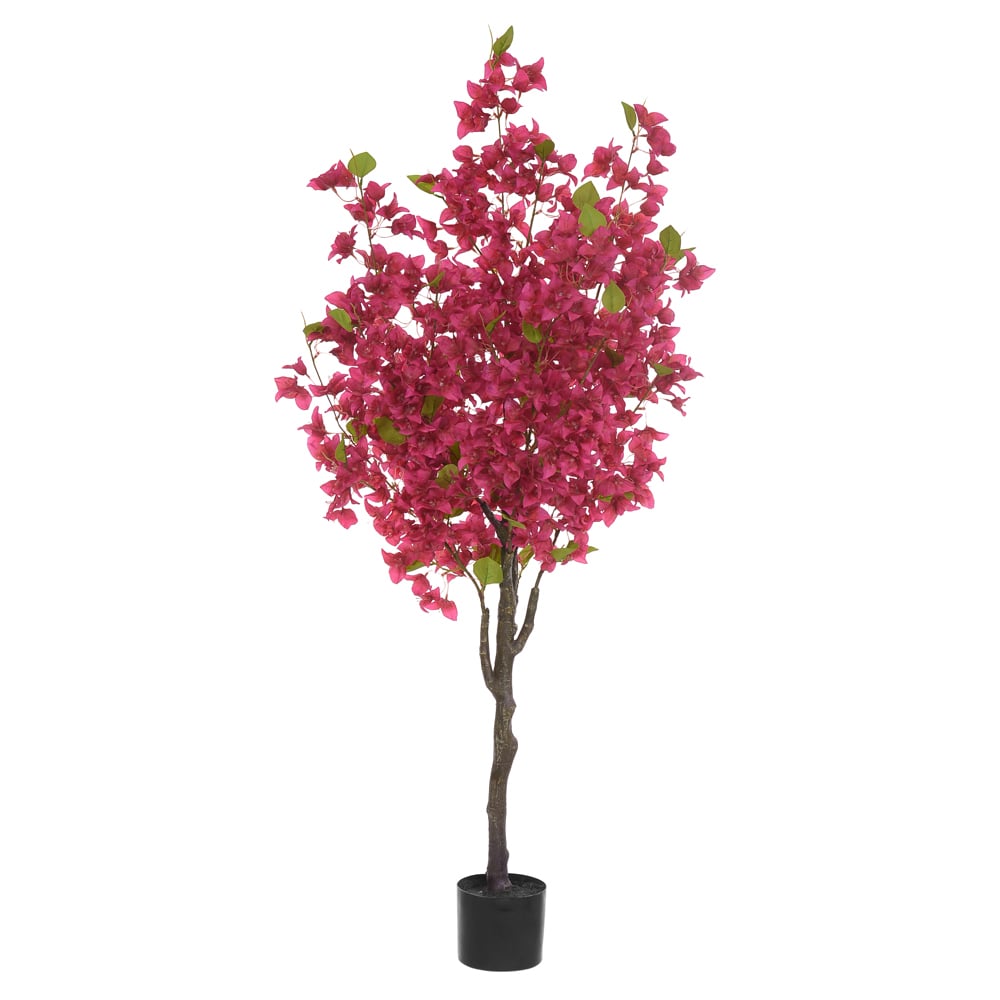 A.BOUGAINVILLEA PU C/POTE X622 (FUCSIA) 1,5m