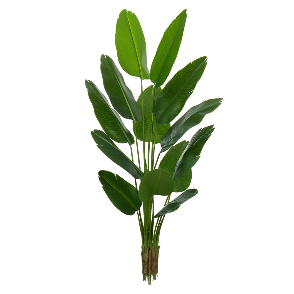 A.BANANEIRA DE JARDIM REAL TOQUE X13 (VERDE) 1,8m