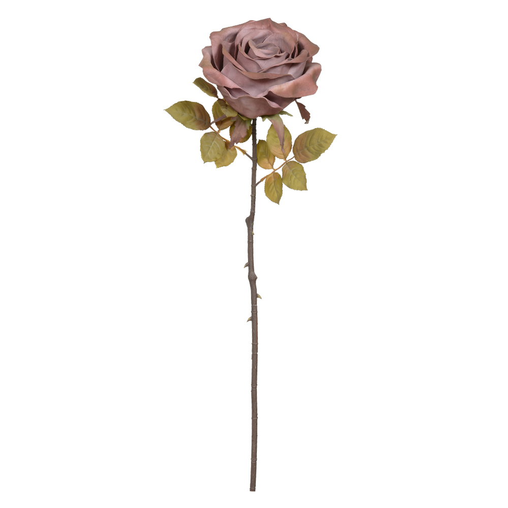 H.ROSA EVA (ROSA) 90cm