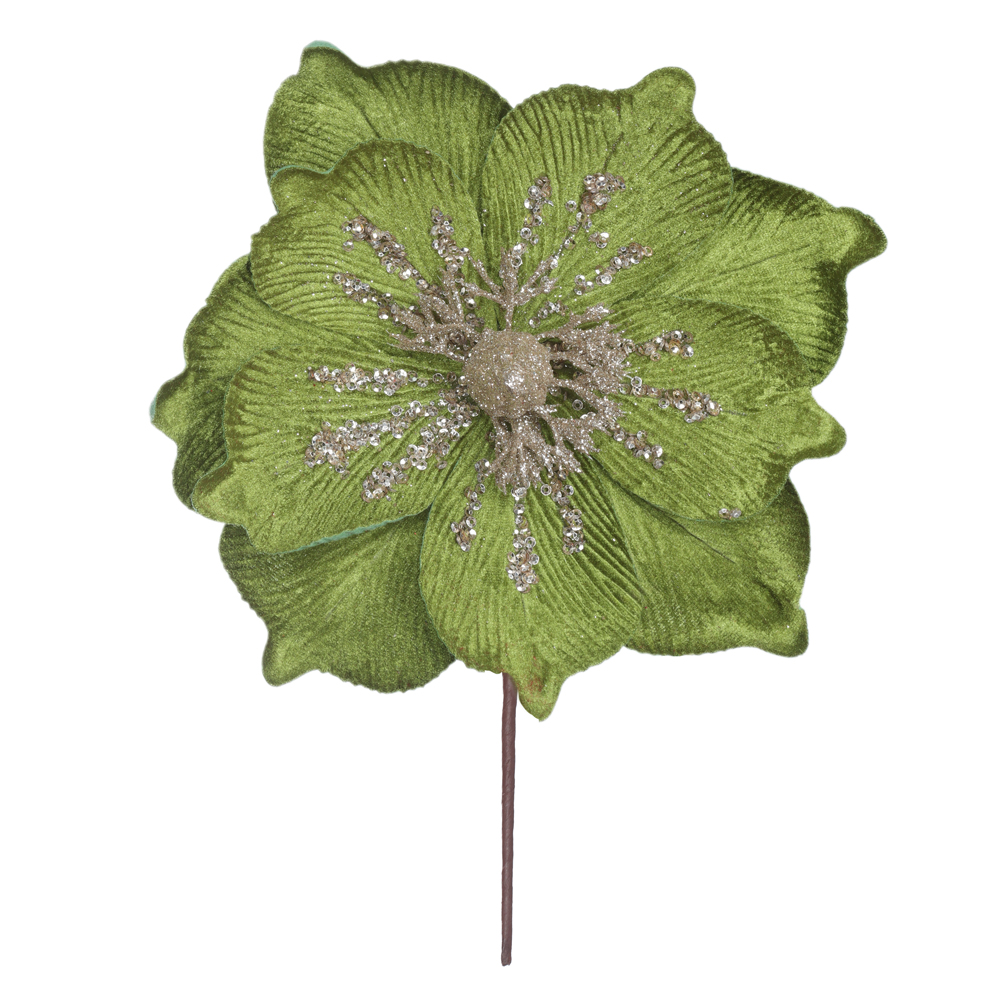 H.MAGNOLIA NATAL AVELUDADO (VERDE) 22cm 24d 10P