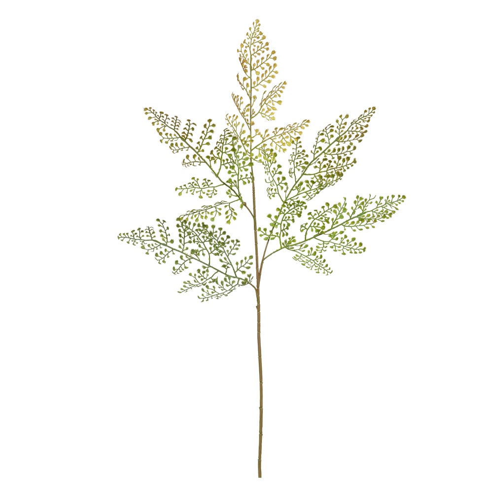 C.GALHO AVENQUINHA ARAMADO C/PRINT PLT X5 (VERDE OUTONO) 90cm