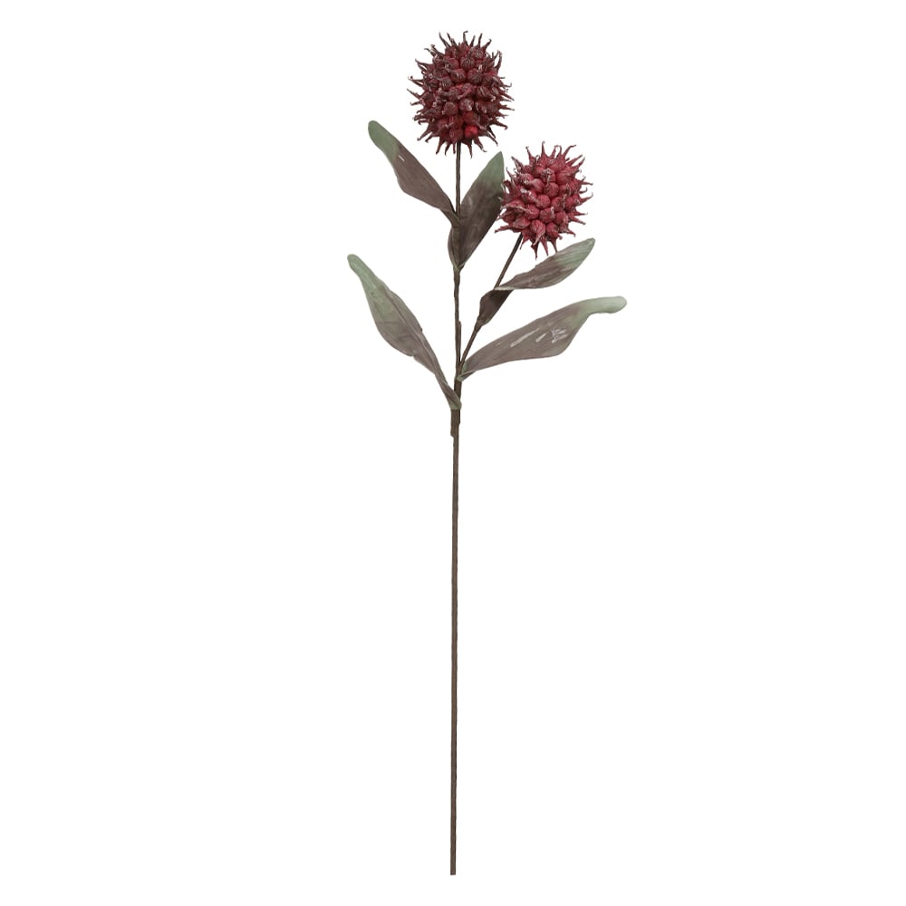 C.GALHO SEMENTES C/FOLHA EVA X2 (MARSALA) 1,04m