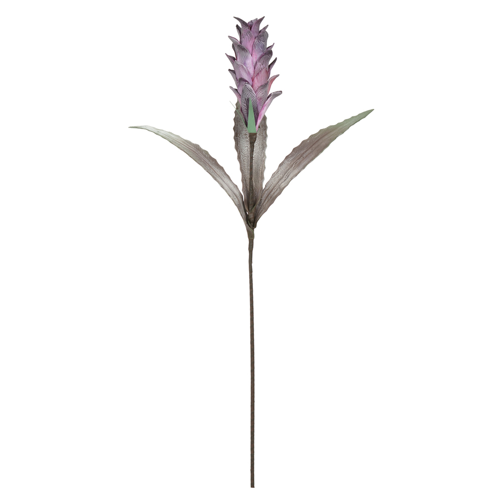 H.GINGER EVA (PURPURA) 90cm