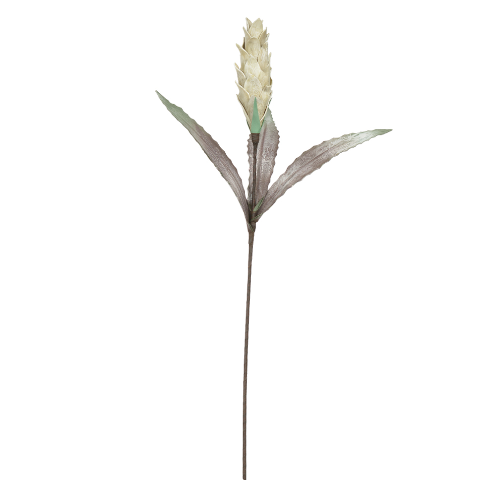H.GINGER EVA (PALHA) 90cm