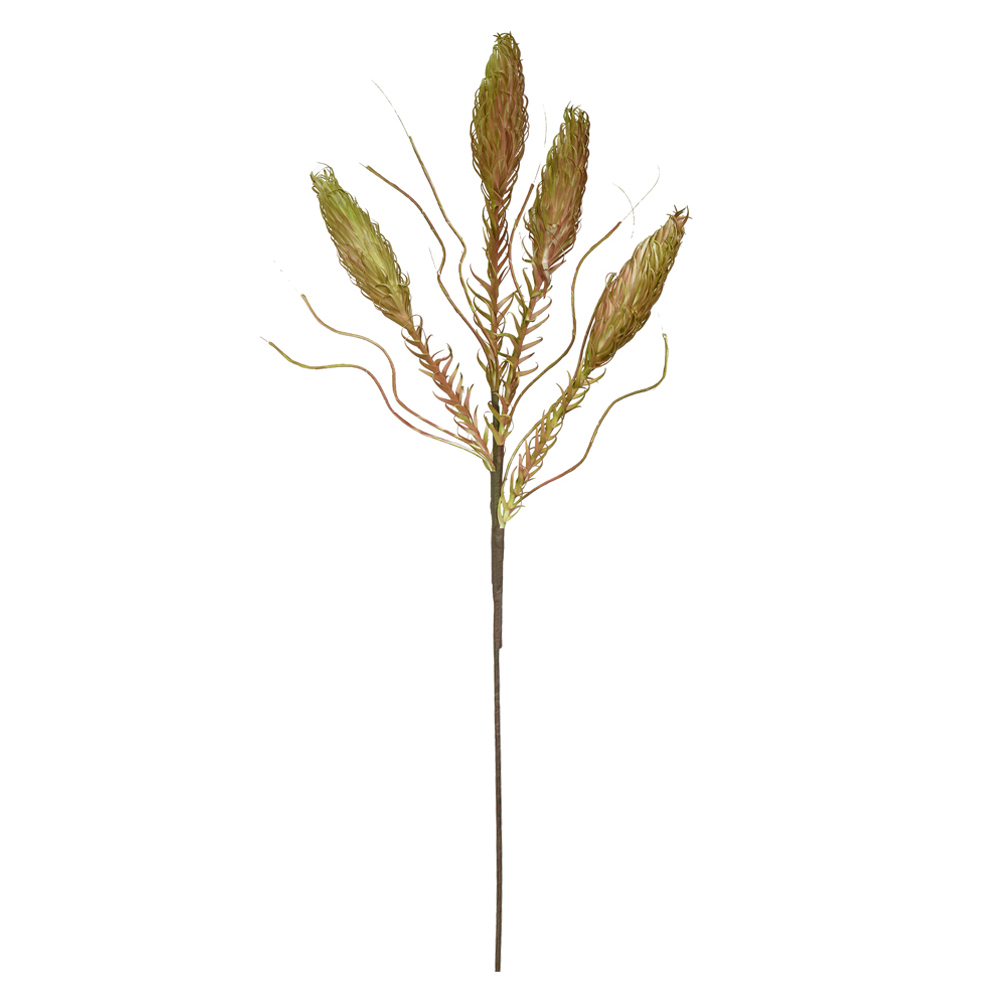 C.GALHO SEMENTES EVA X4 (VERDE CARAMELO) 1,05m
