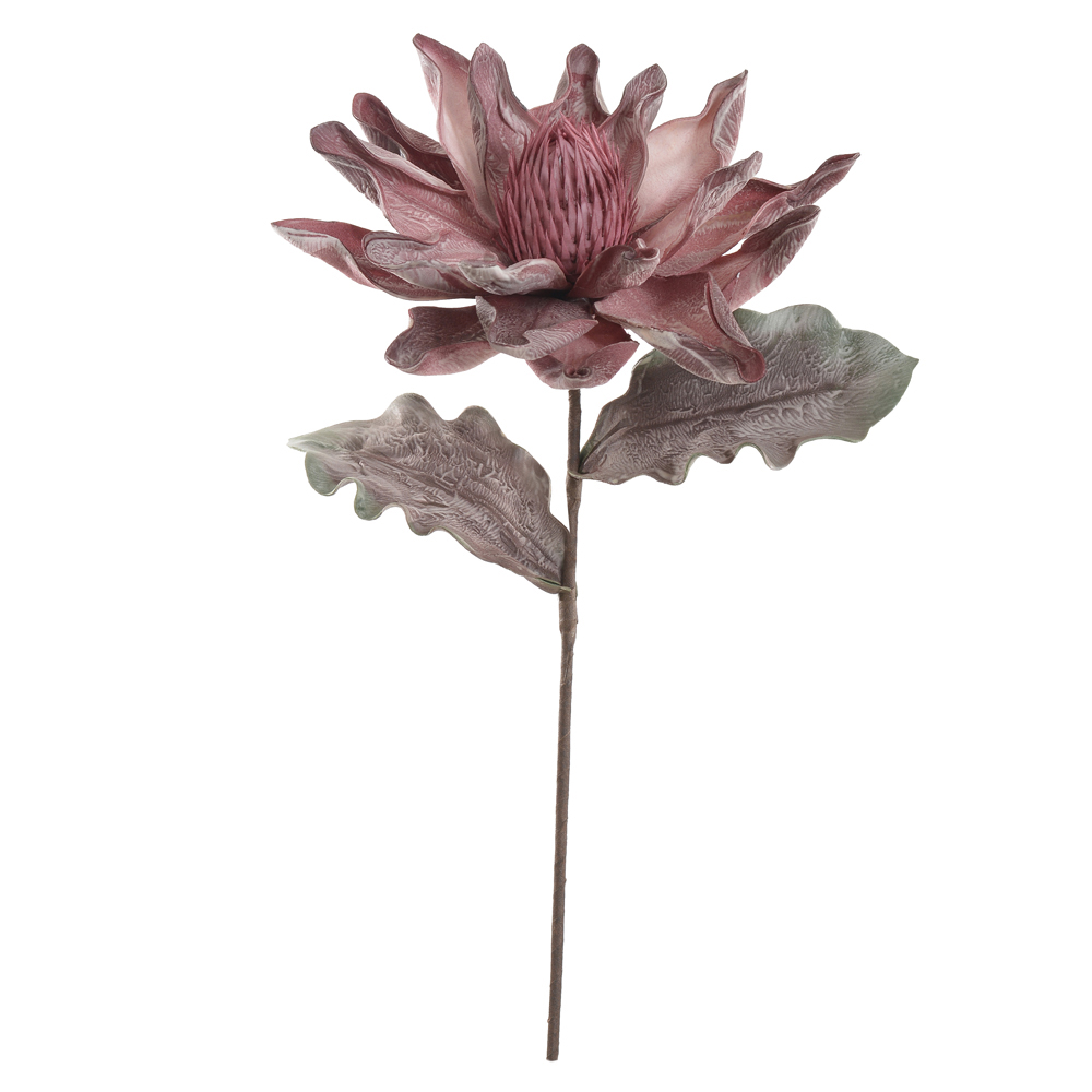 H.MAGNOLIA EVA (BEAUTY OUTONO) 76cm