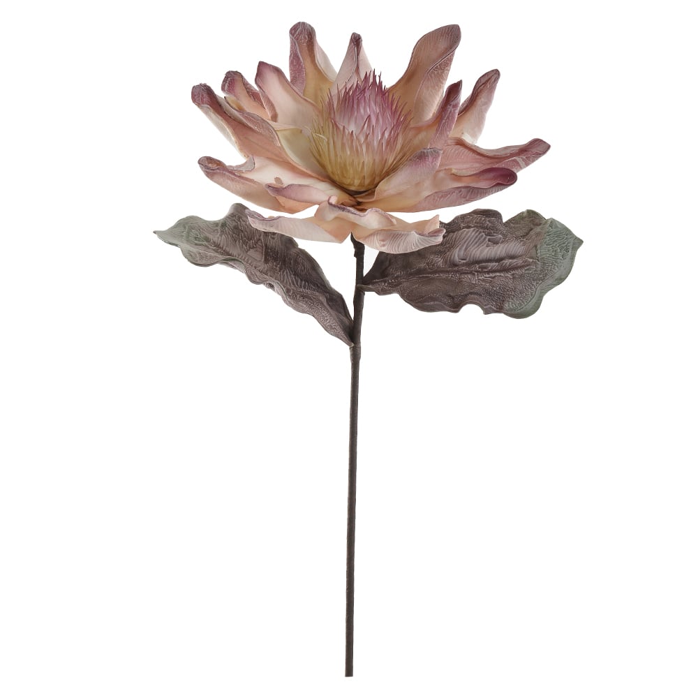 H.MAGNOLIA EVA (ROSA BEGE) 76cm