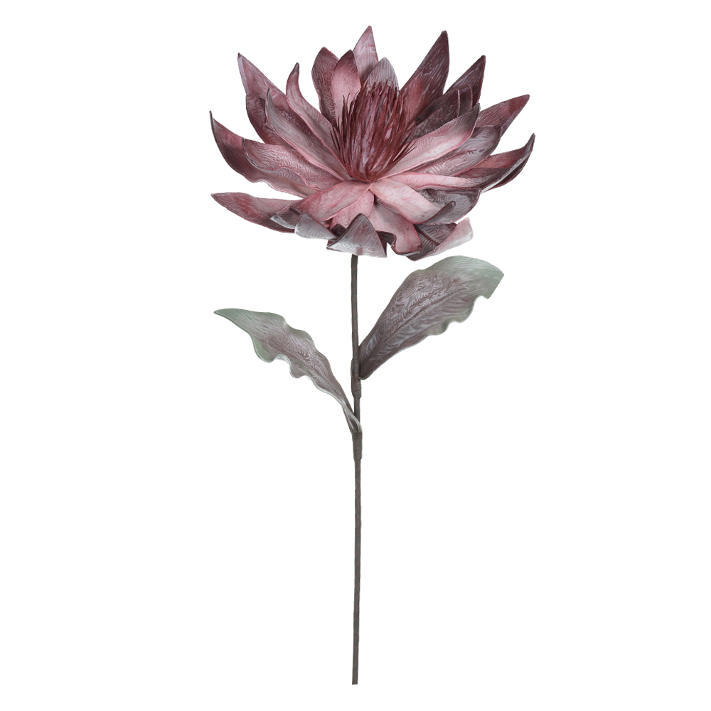 H.MAGNOLIA EVA (BEAUTY OUTONO) 92cm