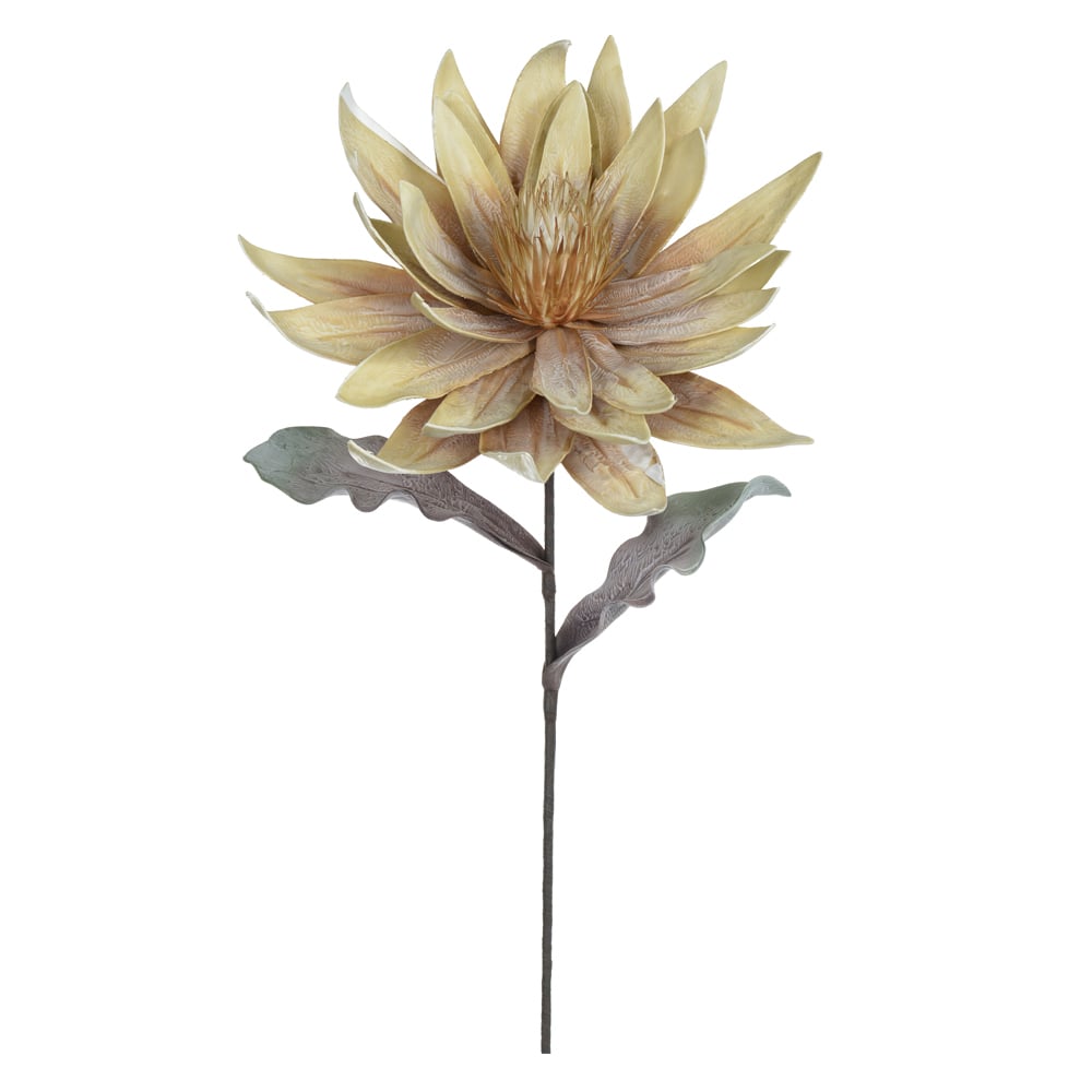 H.MAGNOLIA EVA (BEGE) 92cm