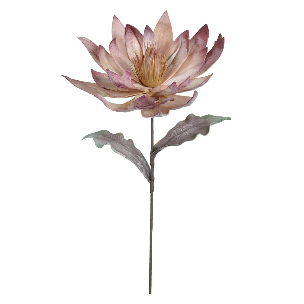 H.MAGNOLIA EVA (ROSA BEGE) 92cm