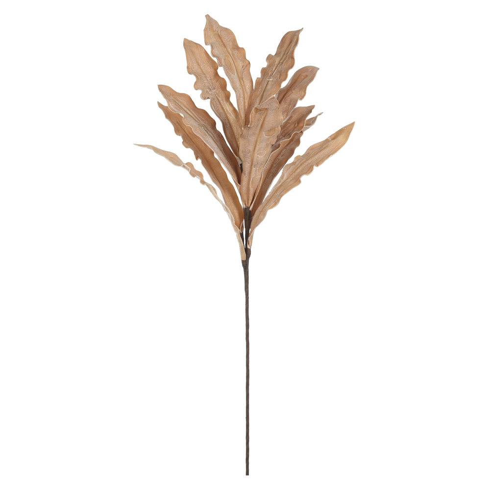 C.FOLHA EVA X11 (OCRE) 1,05m