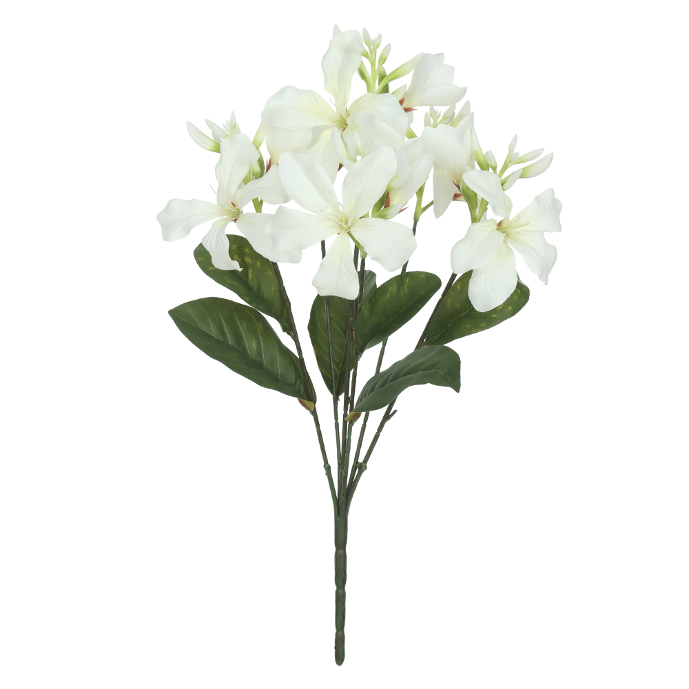 B.PATA DE VACA X12 (BRANCO) 55cm