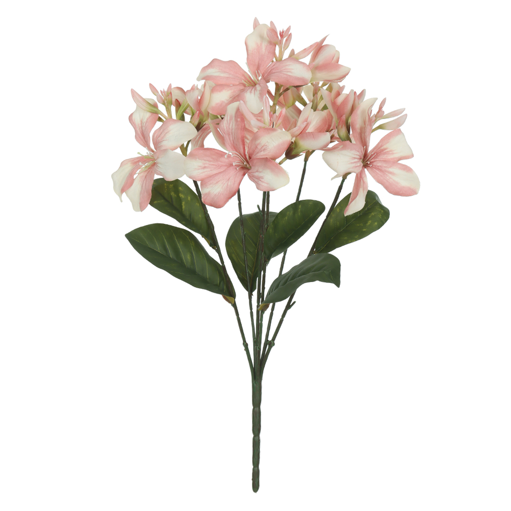 B.PATA DE VACA X12 (PESSEGO) 55cm