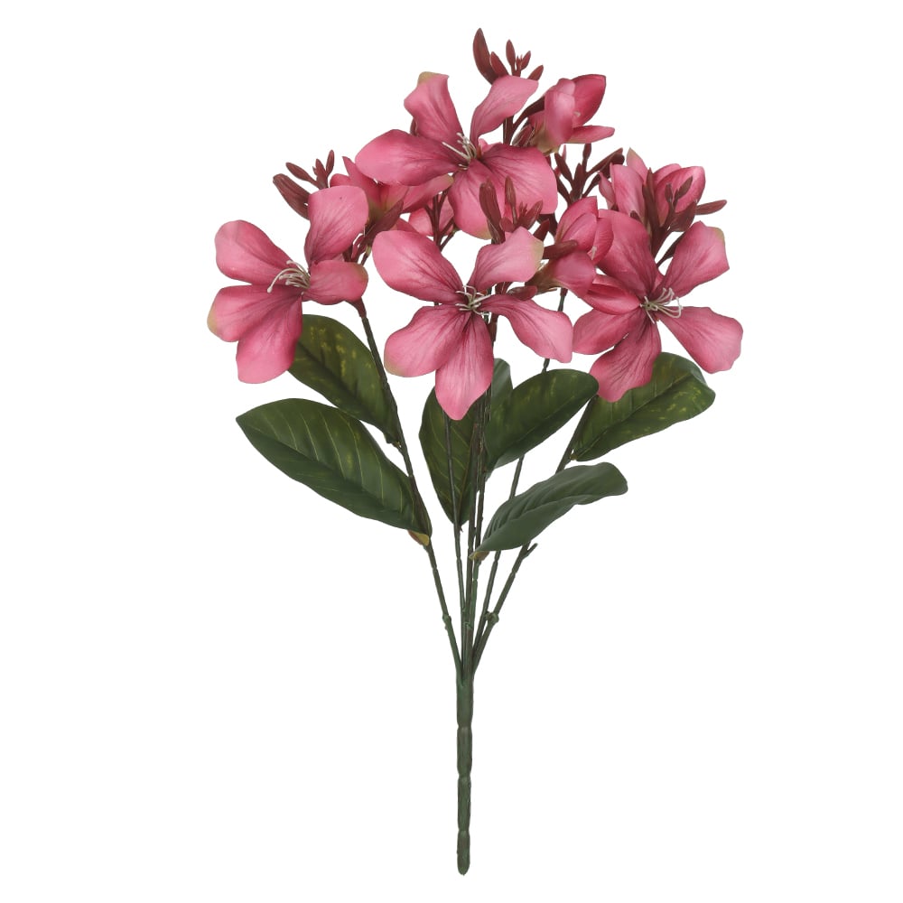 B.PATA DE VACA X12 (ROSA) 55cm