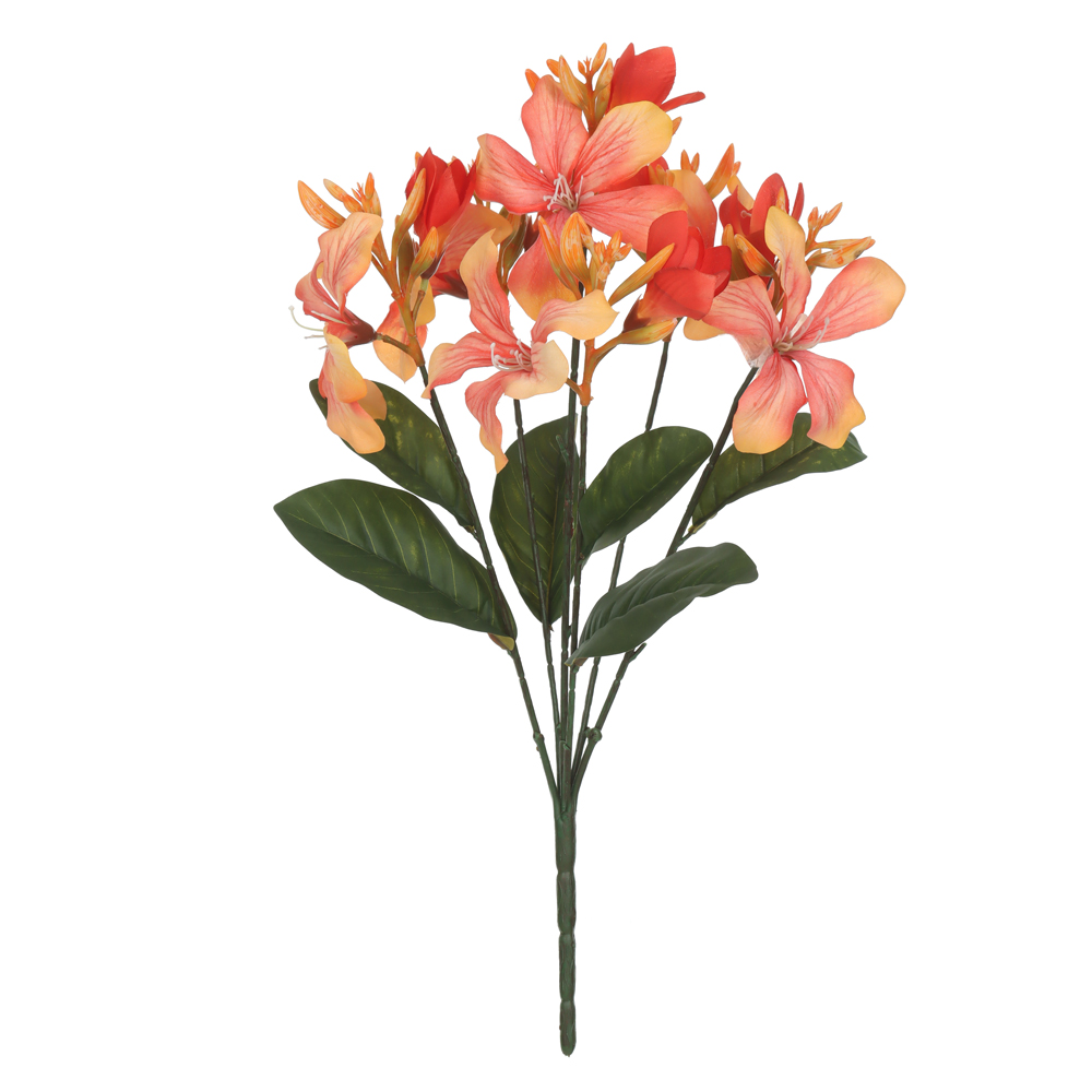 B.PATA DE VACA X12 (LARANJA) 55cm