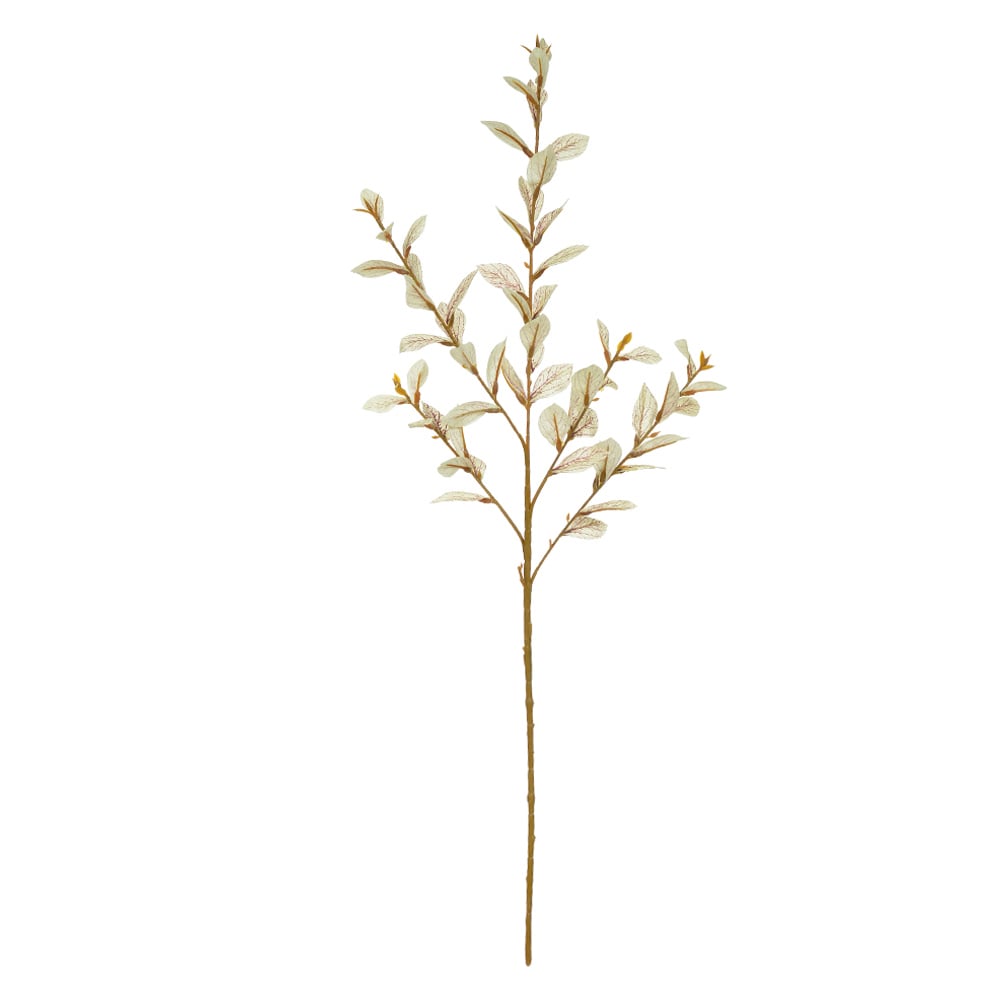 C.GALHO FOLHA X57 (CREME) 82cm