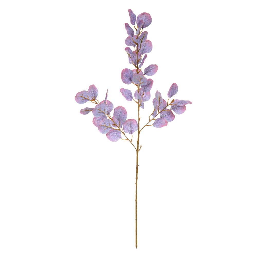 C.GALHO EUCALIPTO X38 (PURPURA) 86cm