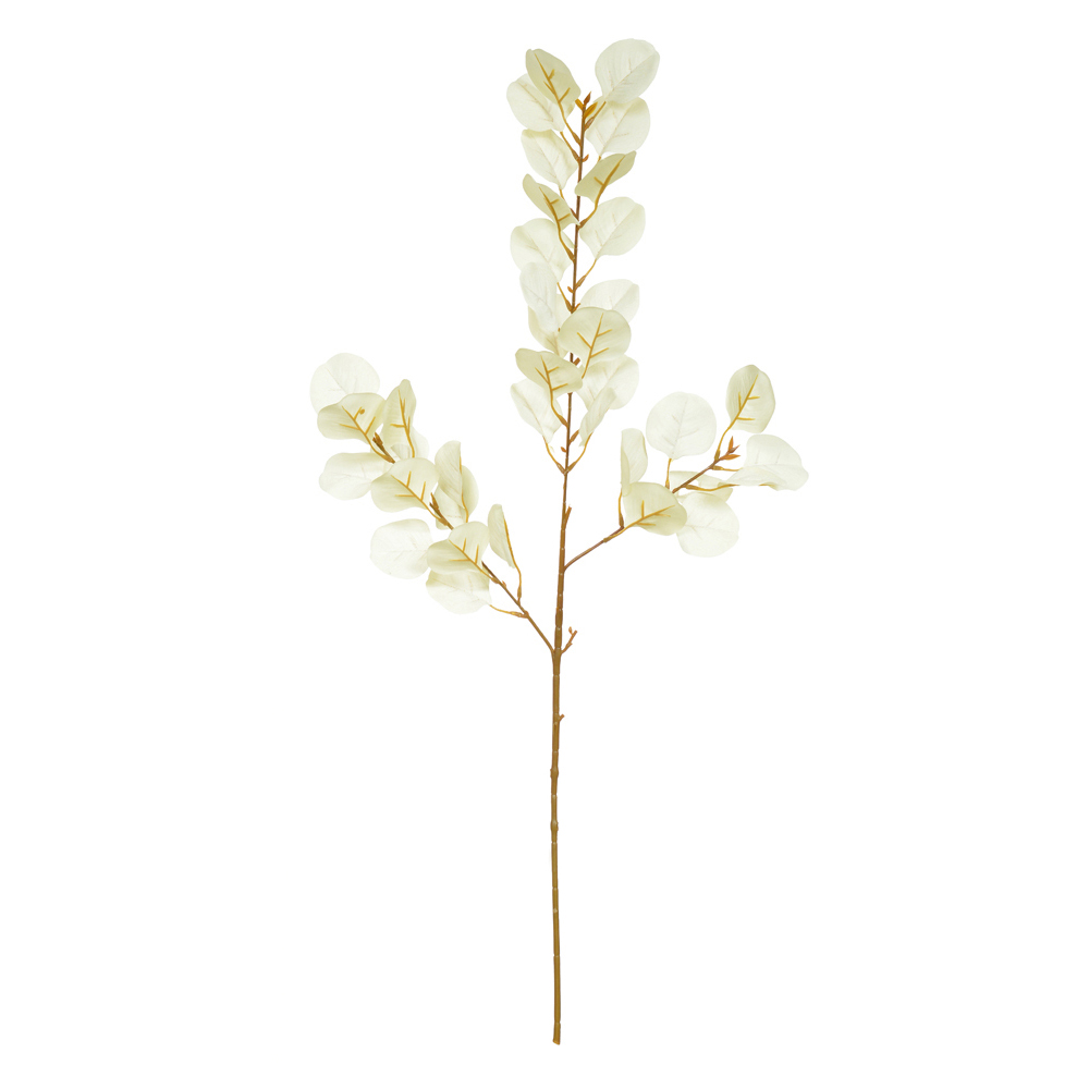 C.GALHO EUCALIPTO X38 (PALHA) 86cm