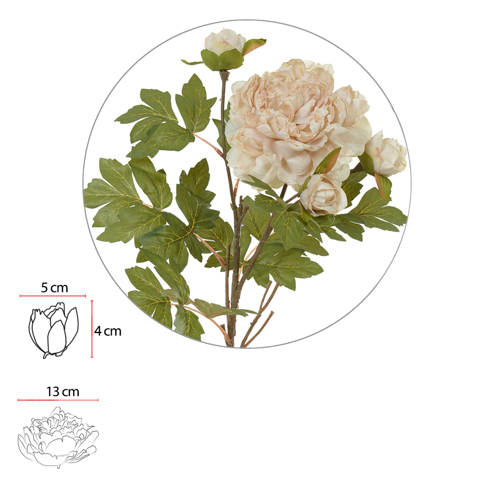 H.PEONIA X4 (CREME OUTONO) 63cm
