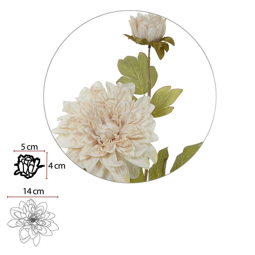 H.DALIA X2 (CREME OUTONO) 60cm