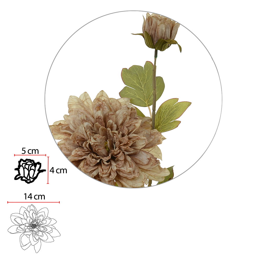 H.DALIA X2 (CHA OUTONO) 60cm