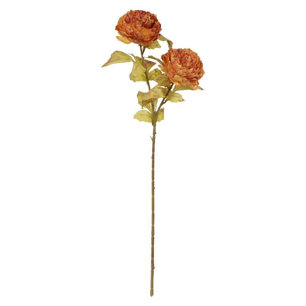 H.PEONIA X2 (OCRE OUTONO) 72cm