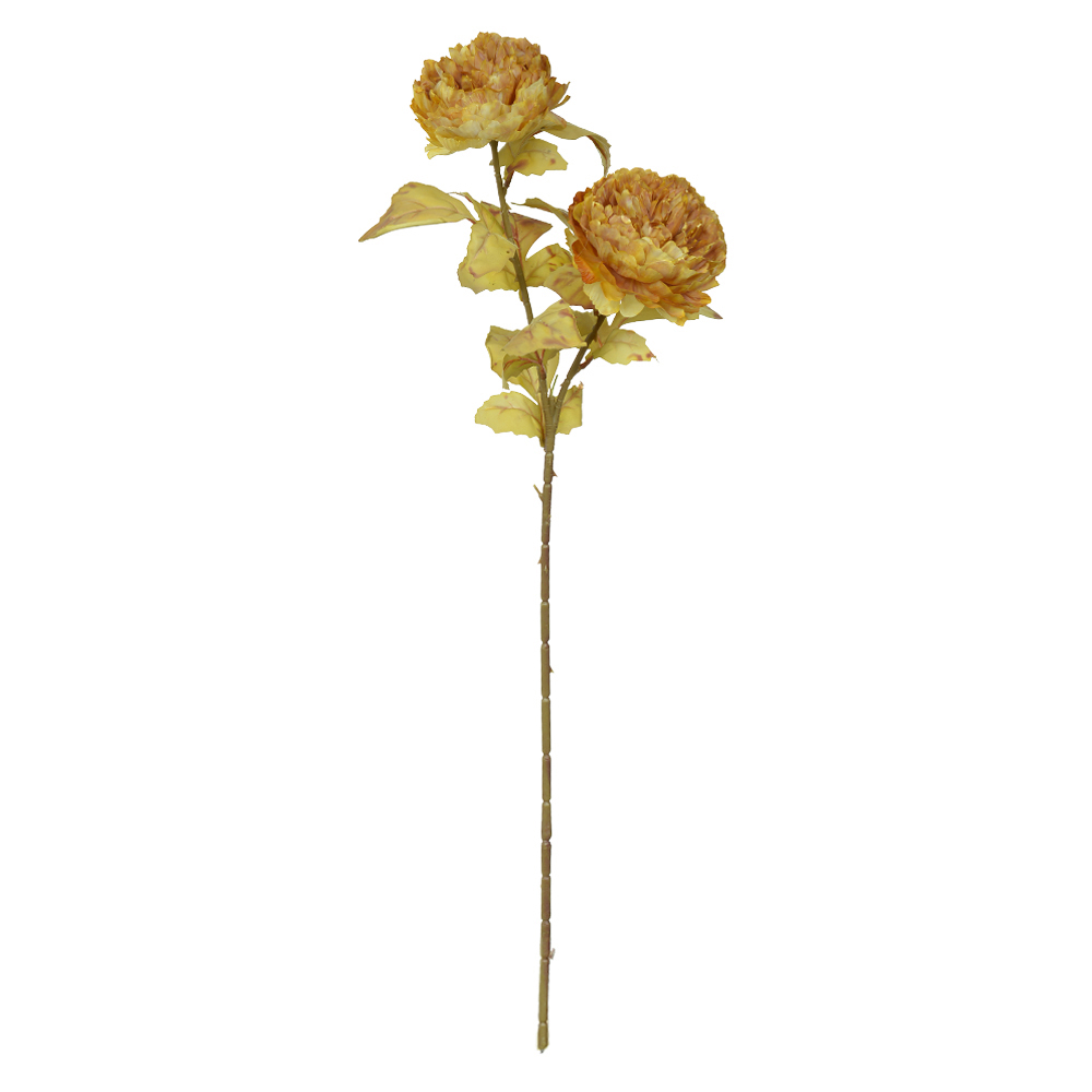 H.PEONIA X2 (CHA OUTONO) 72cm