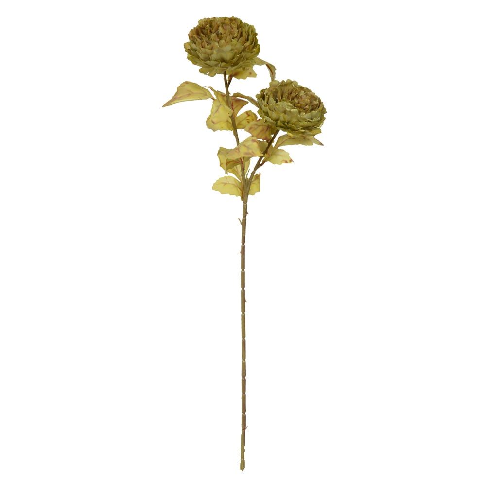 H.PEONIA X2 (VERDE MENTA OUTONO) 72cm