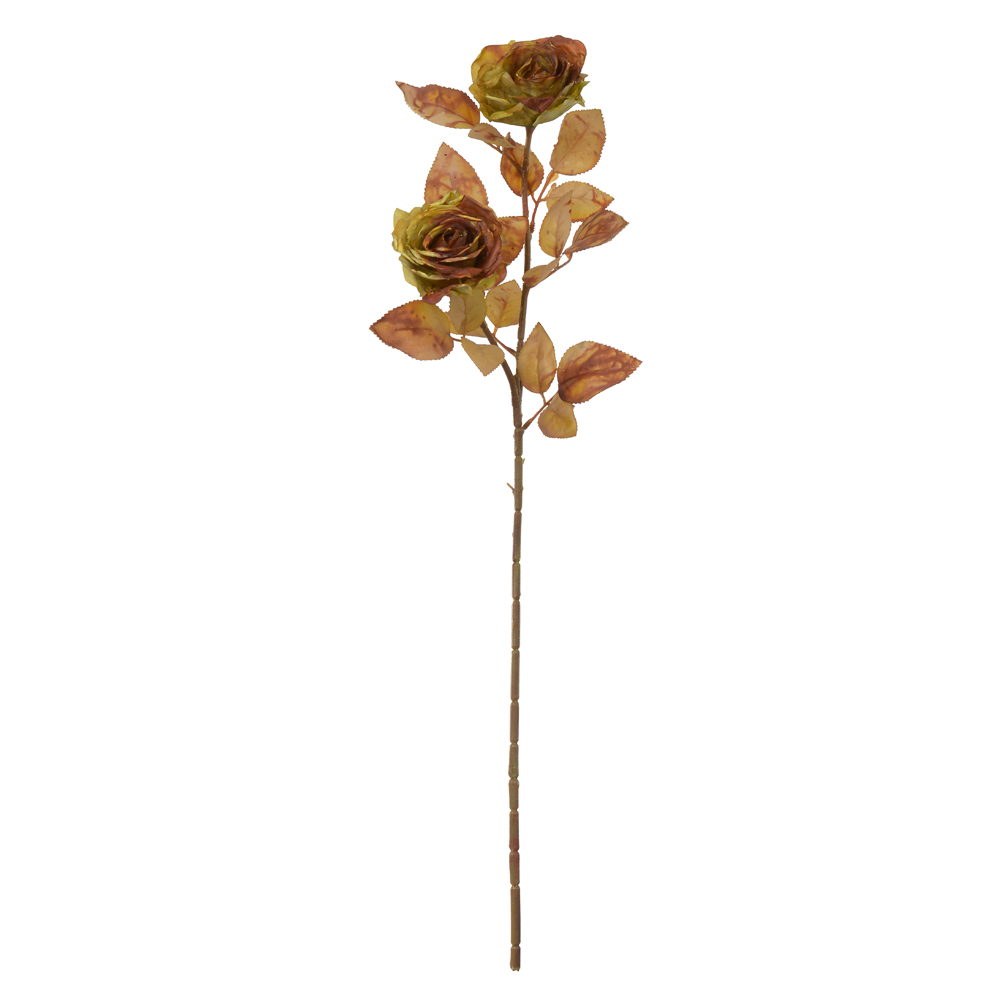 H.ROSA X2 (VERDE MARSALA) 74cm