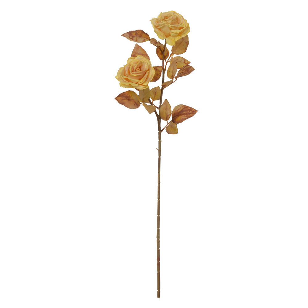 H.ROSA X2 (CHA OUTONO) 74cm