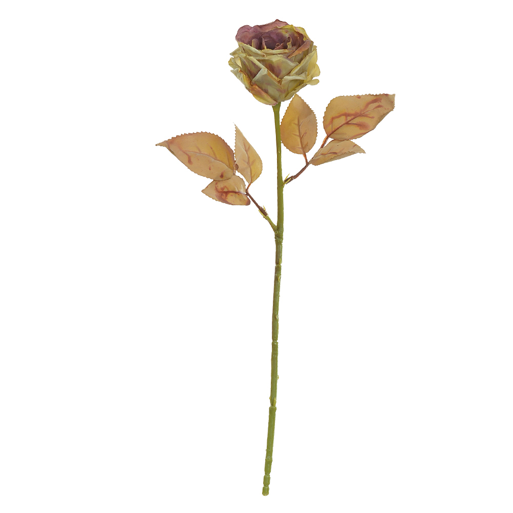 H.ROSA (MARSALA CREME OUTONO) 42cm