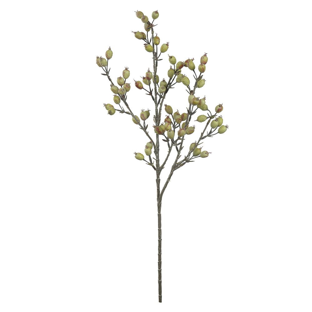 C.GALHO SEMENTES X66 (VERDE OUTONO) 68cm
