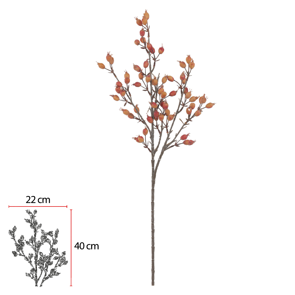 C.GALHO SEMENTES X66 (PESSEGO OUTONO) 68cm