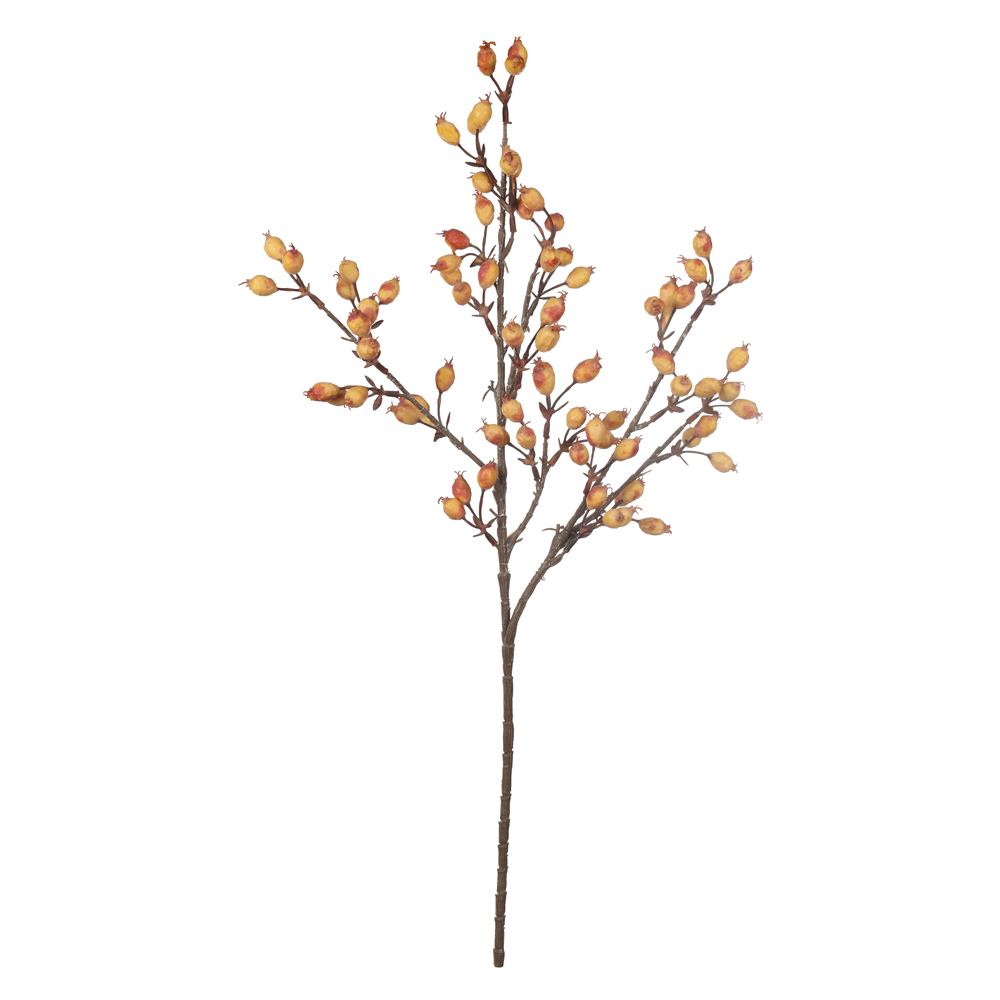 C.GALHO SEMENTES X66 (LARANJA 2T OUTONO) 68cm