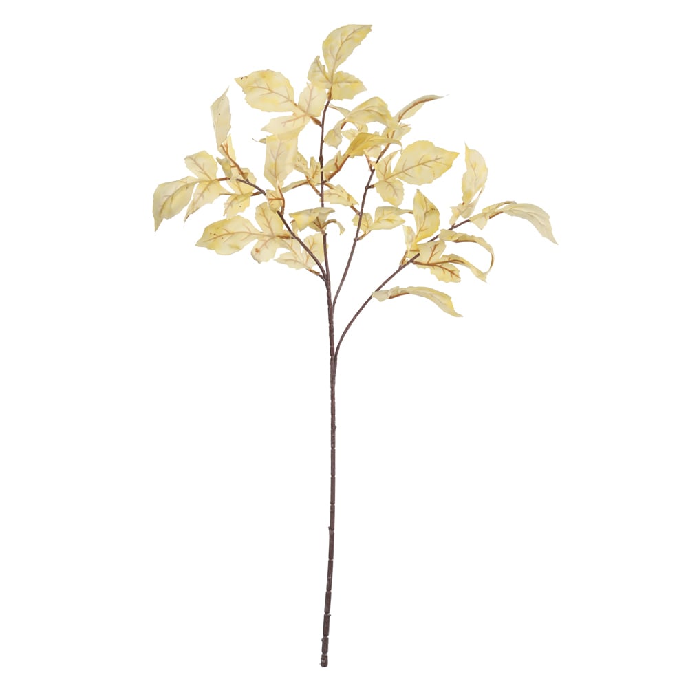 C.GALHO FOLHA X23 (CREME OUTONO) 86cm