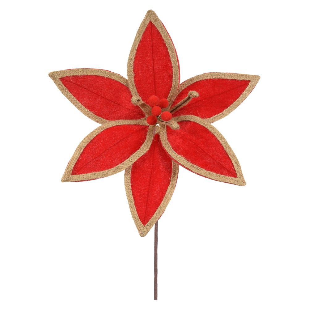 H.BICO PAPAGAIO (VERMELHO) 34cm 35d