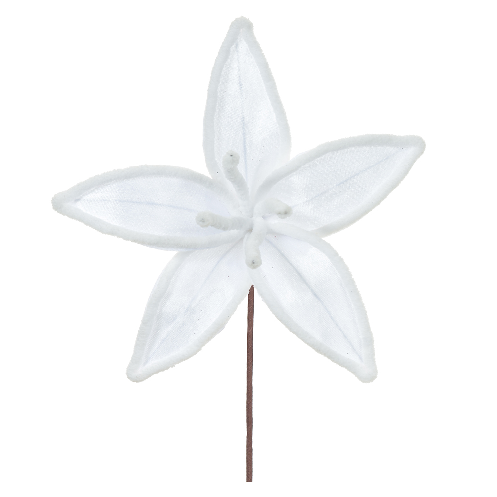 H.BICO PAPAGAIO (BRANCO) 25cm 26d