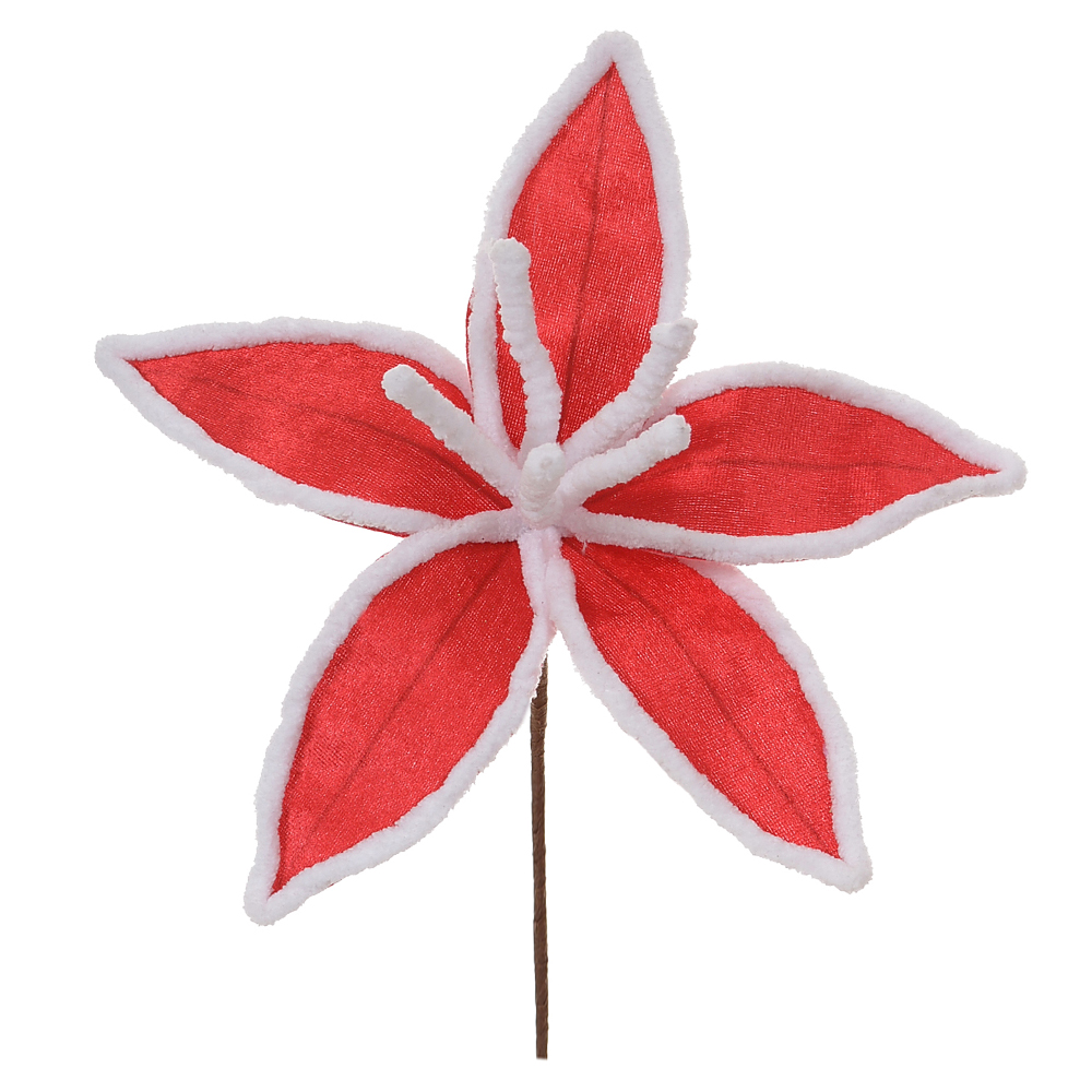 H.BICO PAPAGAIO (VERMELHO BRANCO) 25cm 26d