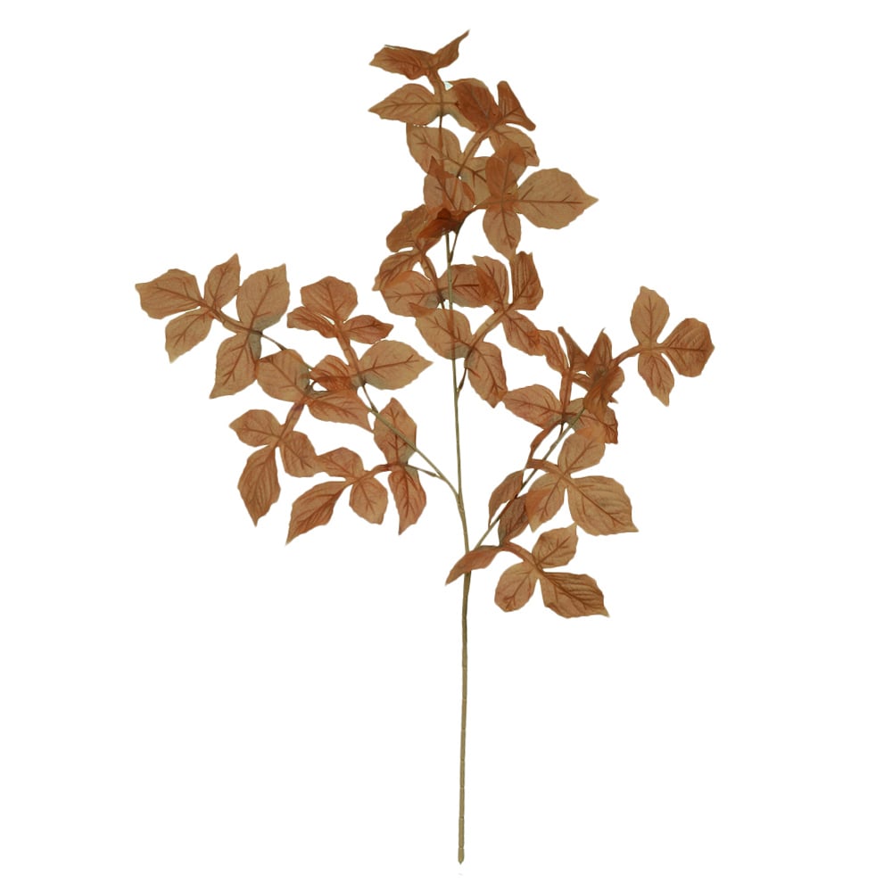 C.GALHO FOLHA X13 (OCRE) 96cm