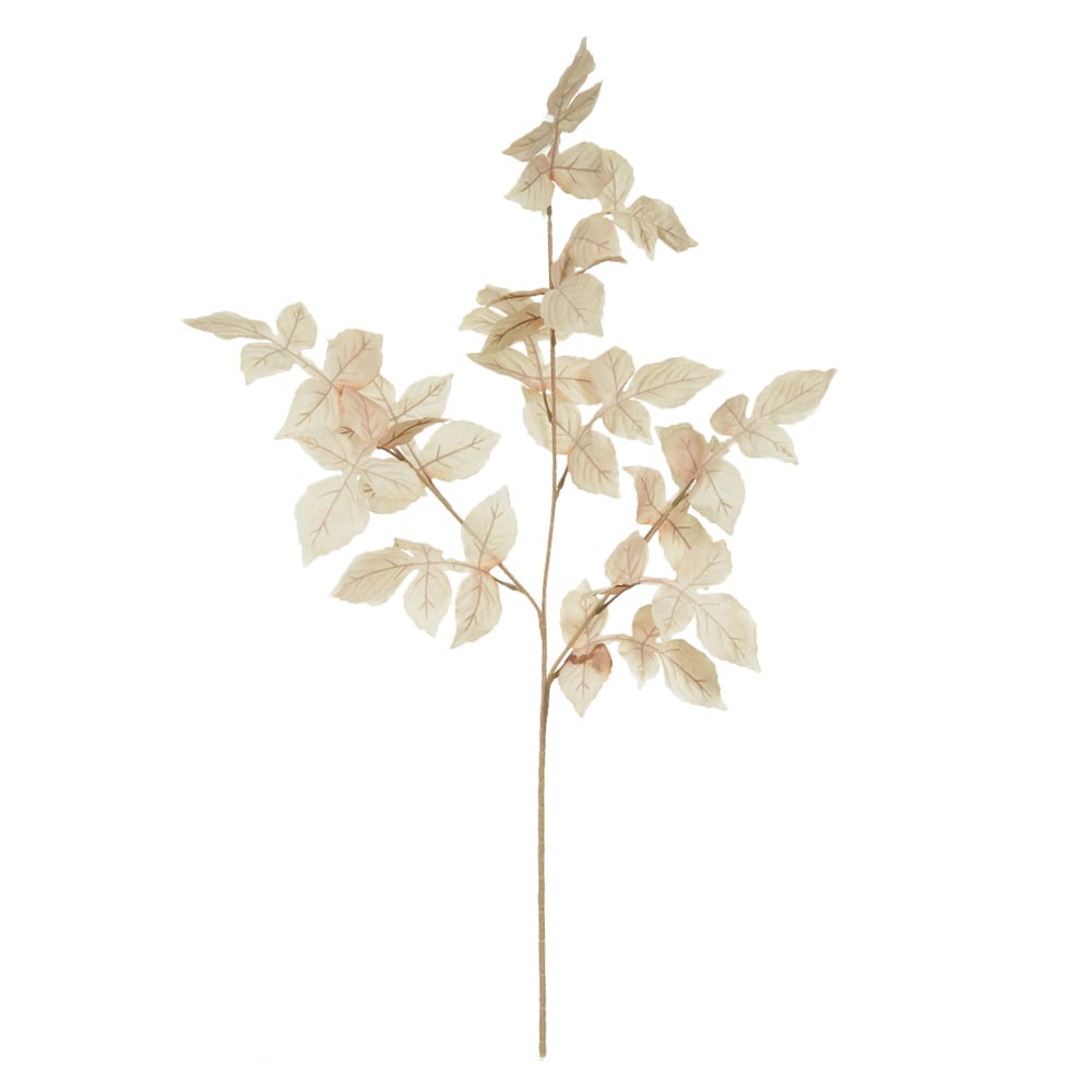 C.GALHO FOLHA X13 (ROSE) 96cm