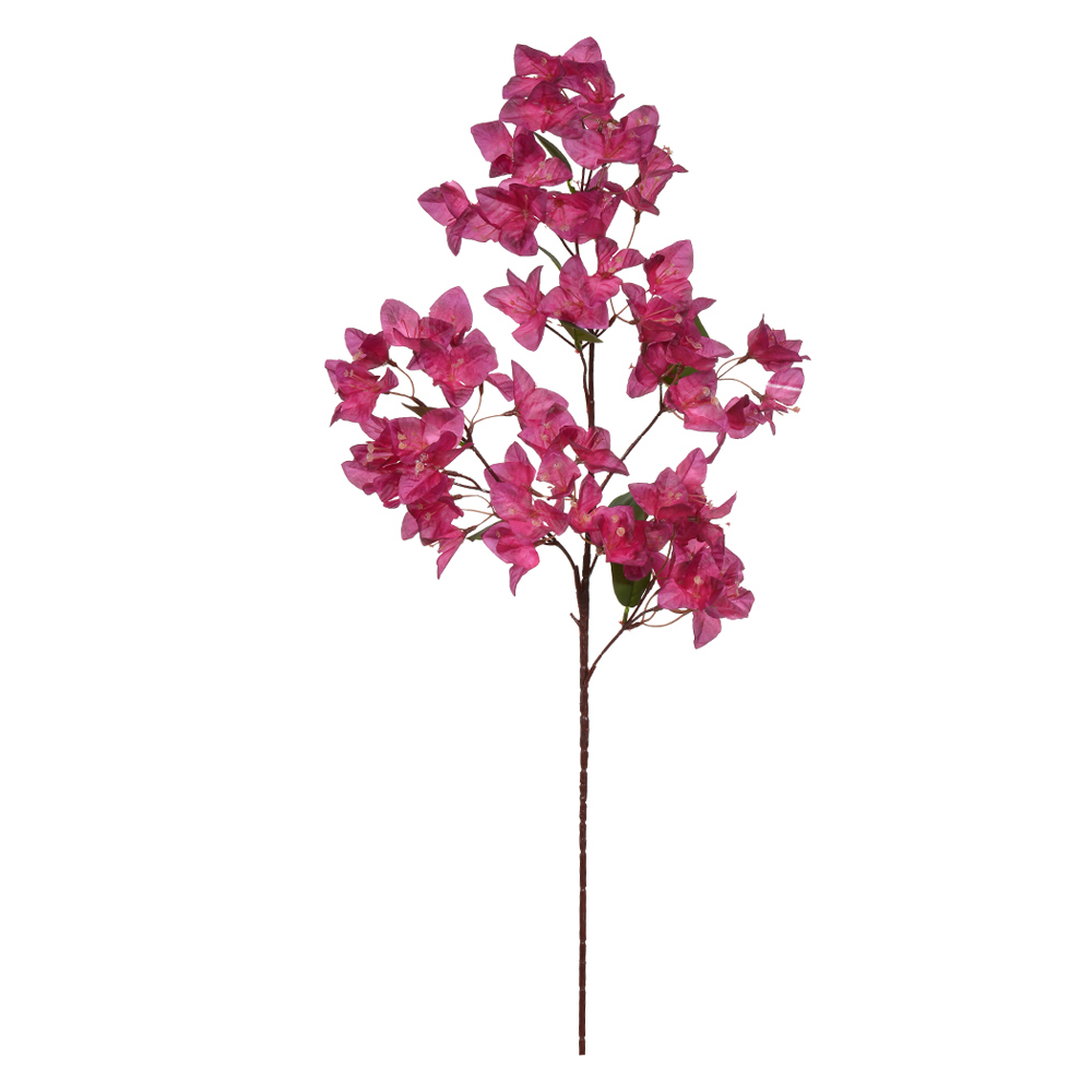 H.BOUGAINVILLE X72 (FUCSIA 2T) 99cm