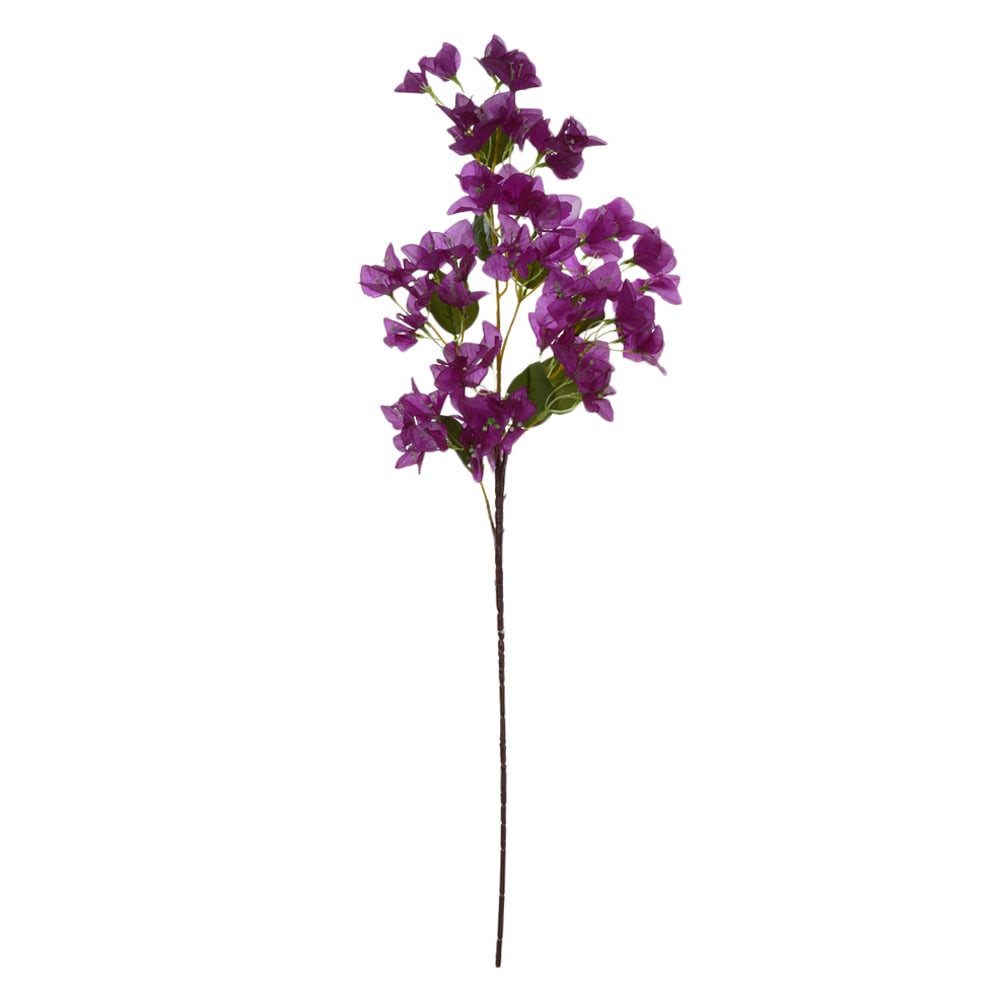 H.BOUGAINVILLE X72 (PURPURA) 99cm