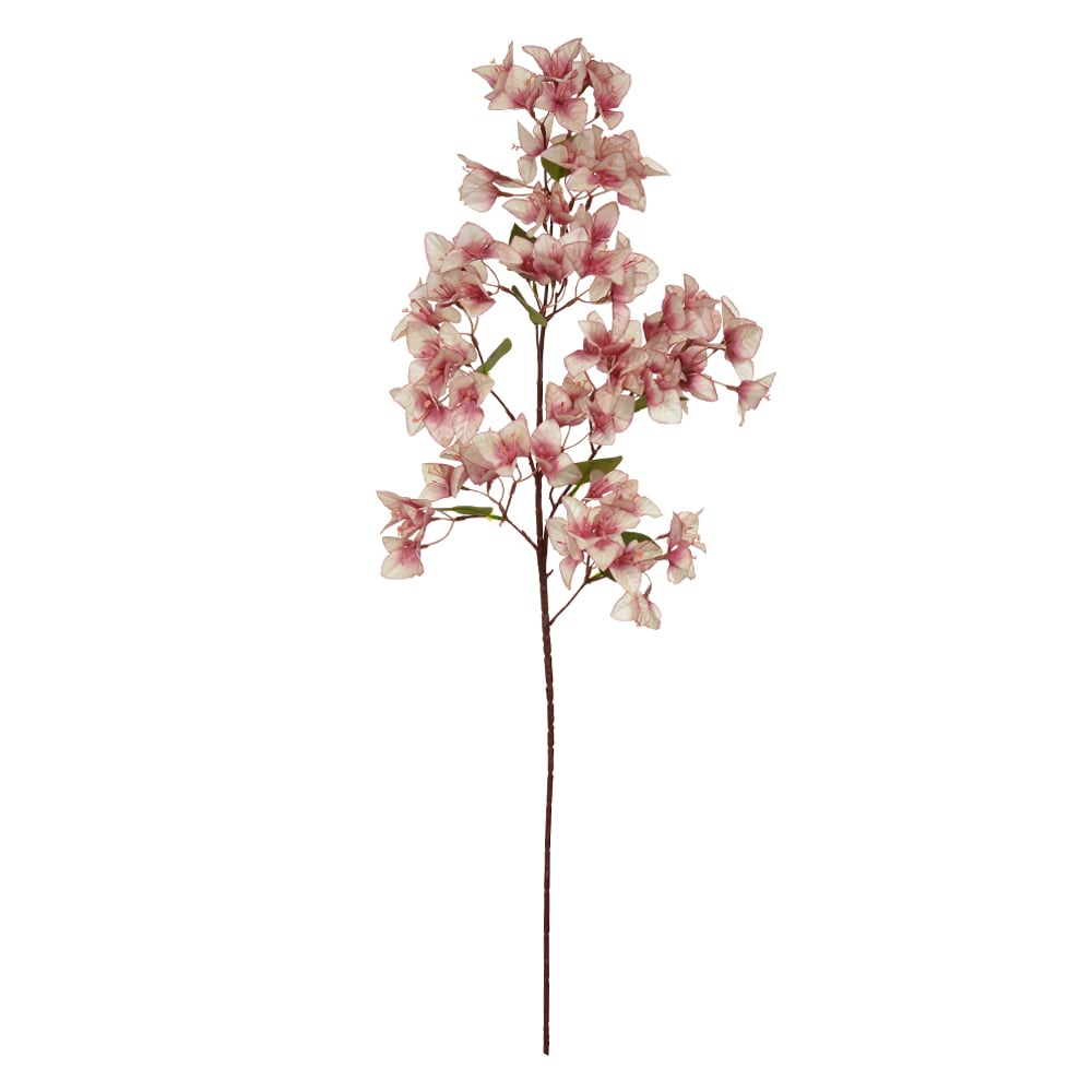 H.BOUGAINVILLE X72 (ROSA 2T) 99cm